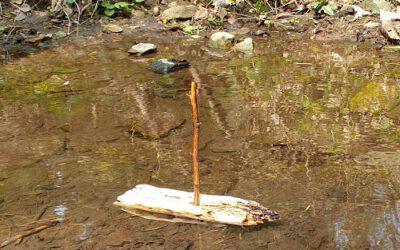Wie Alexander Salamander zu seinem Namen, einem Boot und einem Keks kam