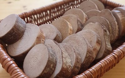 Astscheiben: einfaches Spielzeug zum Selbermachen