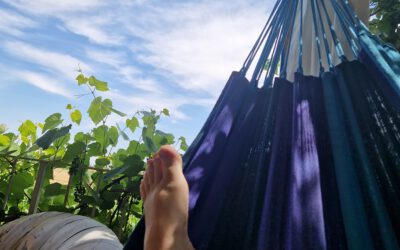 Meine Sommer-Bucketlist 2023