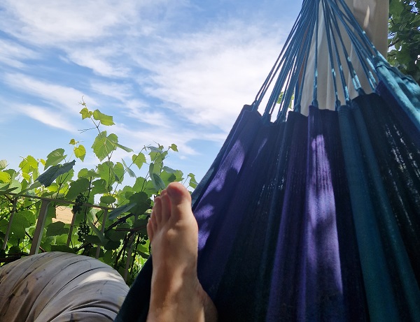 Meine Sommer-Bucketlist 2023